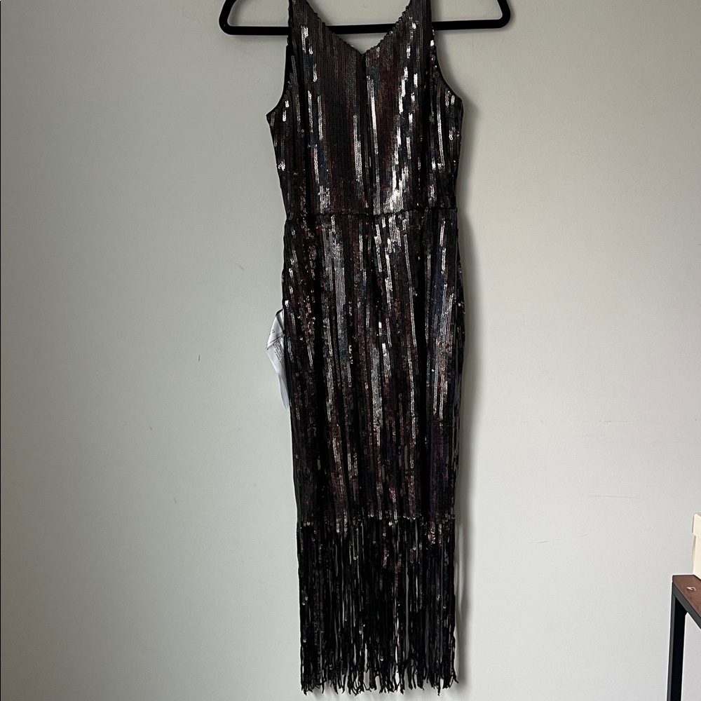 Dress the Population Sequin Fringe Midi Dress Cocktail Party, size xxs ♦️ - Picture 5 of 6